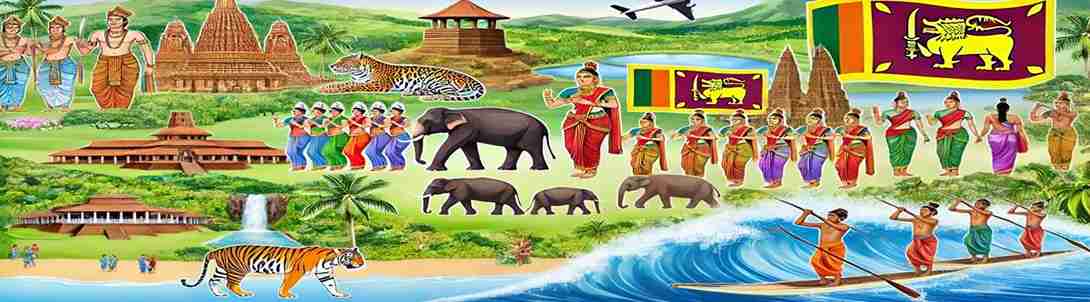 Sri Lanka Activities